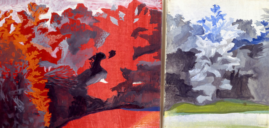 Image-29