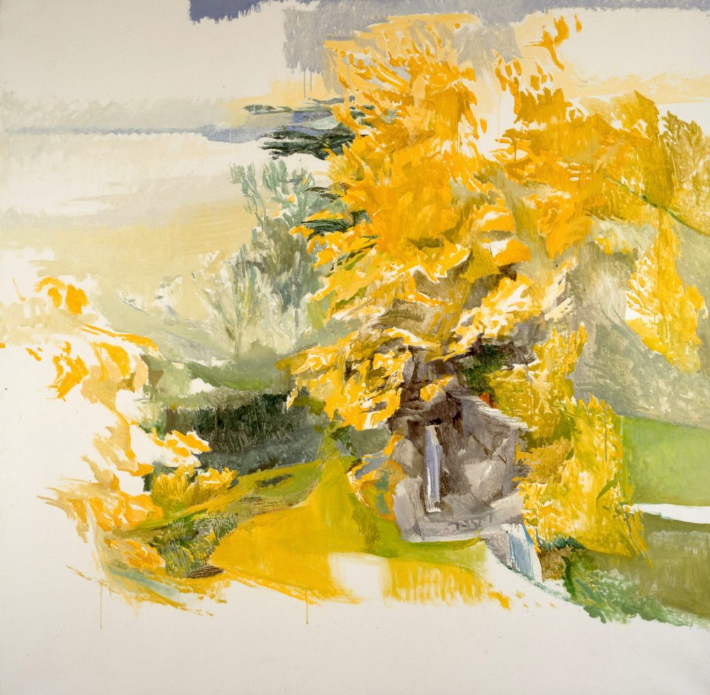 image-44