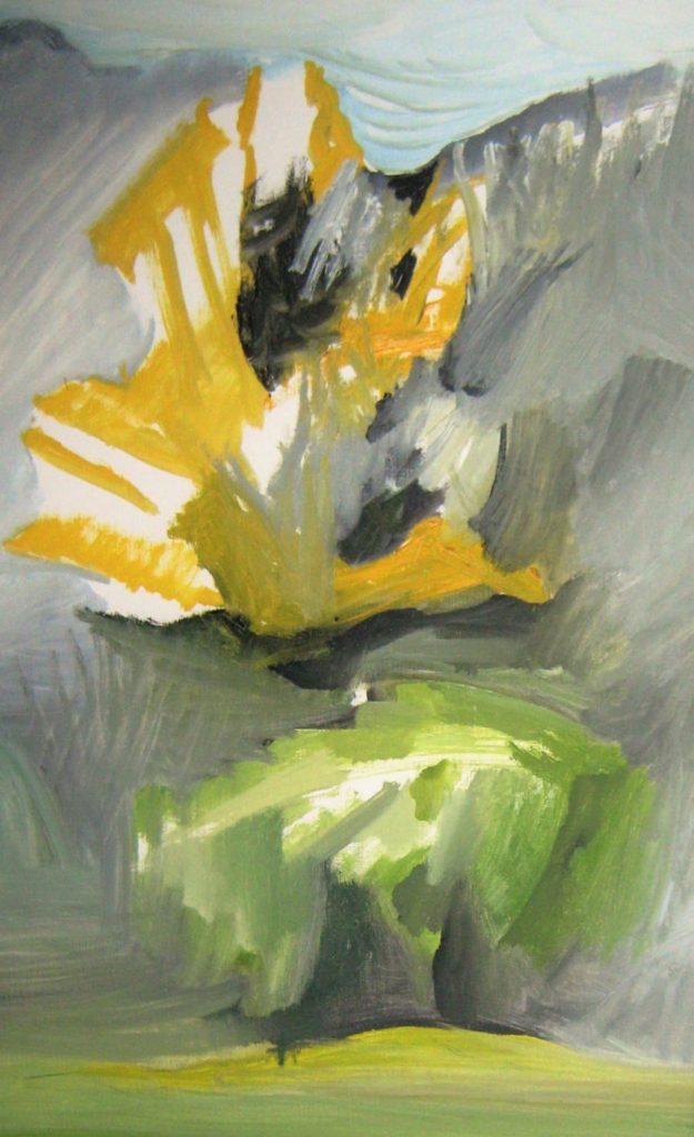 connebot-jaune-et-vert